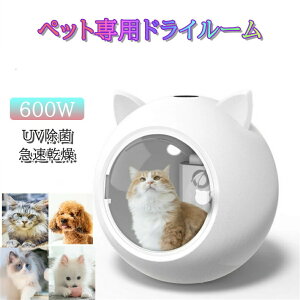 ybgphC[ } É Â I[V[Y nYt[ hC[{bNX  ix |J|JybgphC[ ybg  e ybg{