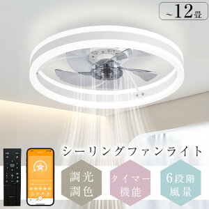 y2024ŐV^IzV[Ot@ V[Ot@Cg t@t LED V[OCg ^ 8 10 12 Px VƖ Ɩ  F 铔 @\ ^C}[ 