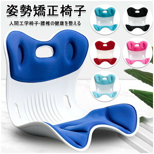 p ֎q 邾ɂȂȂNbV ItBX`FA/Q[`FA//֎qpNbV ՃT|[g`FA  ֎q y ^т₷ 120kg܂őΉ [ K