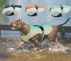 p N[xXg   p ⊴ ^ ^ ĕ đ΍   C   Xgbv  U S S L XL