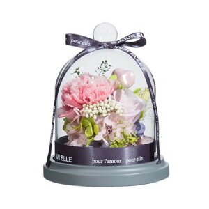 vU[uht[ o v[g t[AW KX|bg  bsOς {t 킢 P[X Ԃ肴[ǃt[ KN hCt[ ỉ ͂Ȃ