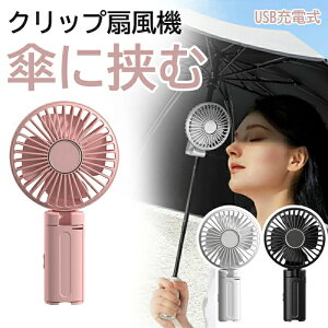 Pp @ ^ nfBt@ Pɋ Nbv@ É  g ֗ ^ USB[d 莝  ܂肽  PNbvt@O|[^u݂艺Pt@