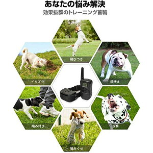 ʖih~ g[jO ybgpi Ppp P ObY CX [gRg[ 300[gʐM\ r[v oCu[V VbN @\