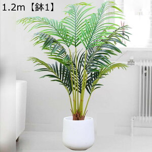 lHϗtA ^ AJV tFCNO[ AJp[ bsv ͂ȂO[ lH tFCNA CeA k  O j ̓ ϗt sv Q