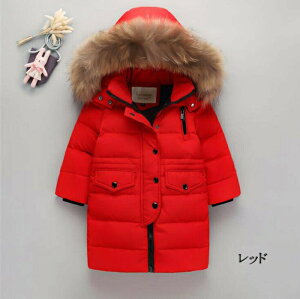 _ER[g q ̎q j̎q _EWPbg O t[h@ʊw LbY h H~ WjA AE^[ ~ ʉ AEghA LbYWPbg 6F 100cm 110cm 120cm 130cm 140cm 150cm 160cm 