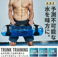 ウォーターバッグ 体幹トレーニング 筋トレ器具 水負荷 ウォーターダンベル フットポンプ付き 自宅トレー…