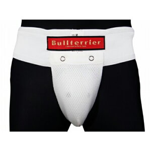ueA BULL TERRIER bj-702 BULL TERRIER t@[JbvT|[^[  I