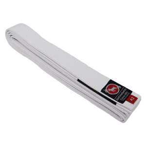 ueA bjk-841 BULLTERRIER  _p