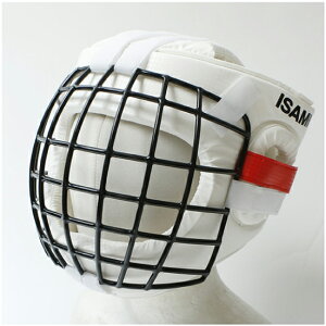 isami CT~ TN-100 wbhK[hII   LbN{NVO i