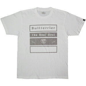 ueA bj-479 BULL TERRIER TVc 4BOX  uWA _p