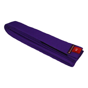 ueA bjk-858 BULL TERRIER _p Basic2.0  uWA _p