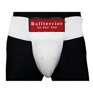 ueA bj-703 BULL TERRIER t@[JbvT|[^[2.0  I iZ LbN 