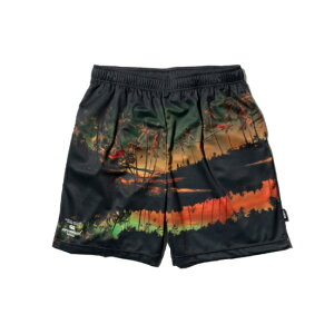 10%OFF o[T V[g pc W[W reversal RESORT EASY JERSEY SHORTS
