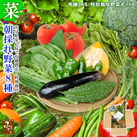 【 10% 割引 】 有機野菜 野菜詰め合わせ 大分県 安心院産 お取り寄せ 野菜【 朝採れ 有機 おまかせ 8種セット 産地直送 】 有機JAS 4種以上 + 特別栽培 農産物 詰め合わせ 冷蔵 オーガニック