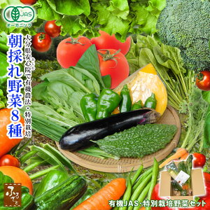 yX[p[SALEz L@ ؋lߍ킹 啪 S@Y  ؁y ̂ L@ ܂ 8Zbg Yn z L@JAS 4ȏ + ʍ͔| _Y lߍ킹 ① I[Kj