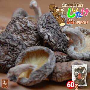 hV̓ ؍͔| 啪Y ő 60g ~t@[ Y BY  VC^P M  ̂ LmR