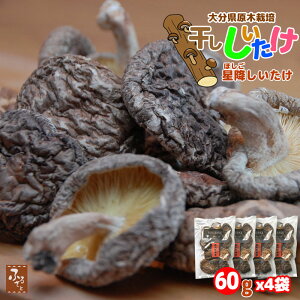 hV̓ y؍͔|z 啪Y ő 60g x 4܃Zbg ~t@[ Y BY  VC^P M  ̂ LmR