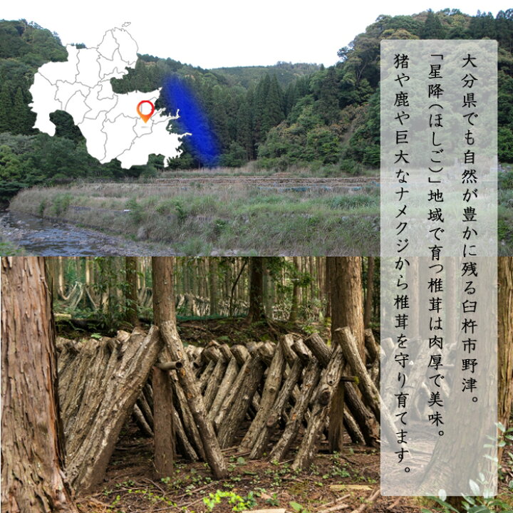 楽天市場 訳あり 干し椎茸 大分産 原木 しいたけ お試し 大分県産 原木栽培 乾 しいたけ 60g 国産 1000円ポッキリ 椎茸 干し シイタケ 香信 茸 きのこ おためし わけあり 送料無料 大分県の特産品専門店ふるさと