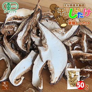 hV̓ L@JAS ؍͔| XCXő 50g 啪Y ~t@[ Y BY  VC^P  ̂ LmR
