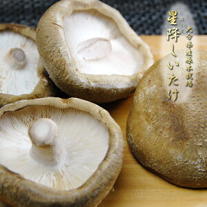 y12/22Jnz ͂̃TCYI W[V[ Xe[Lő 4`6y 啪Y ؍͔| ő 300g z ~   VC^P M  ̂ LmR