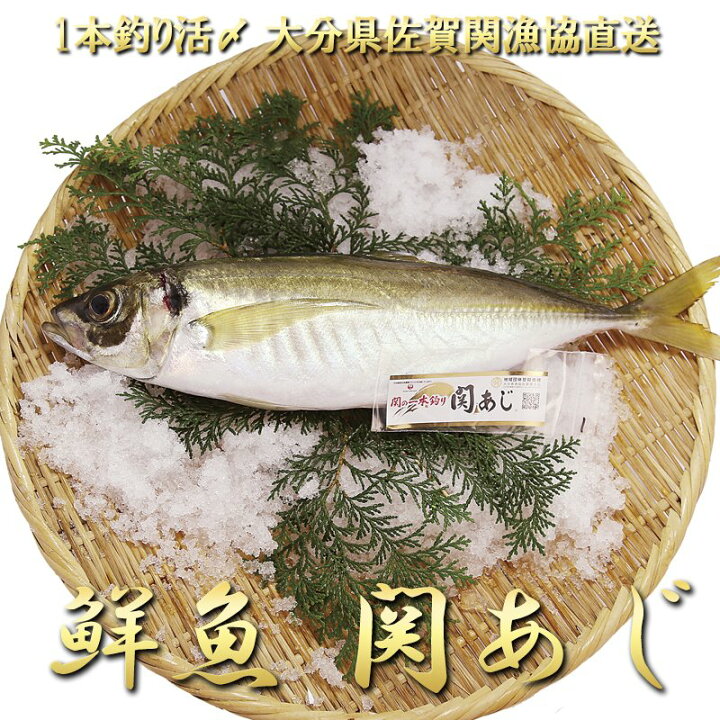 楽天市場 敬老の日 早割 鮮魚 一本釣り 活け締め 大分 関アジ 400g 1尾 佐賀関 漁協 産直 お取り寄せ アジ あじ 鰺 活け〆 活〆 刺身姿造り 魚介 魚 料理 大分県産 海産物 つまみ 関 豊後水道 高級 ブランド魚 送料無料 大分県の特産品専門店ふるさと 楽天市場 敬老の日 早割 鮮魚 一本釣り 活け締め 大分 関アジ 400g 1尾 佐賀関 漁協 産直 お取り寄せ アジ あじ 鰺 活け〆 活〆 刺身姿造り 魚介 魚 料理 大分県産 海産物 つまみ 関 豊後水道 高級 ブランド魚 送料無料 大分県の特産品専門店ふるさと