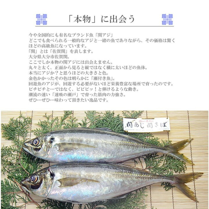 楽天市場 お歳暮 鮮魚 一本釣り 活け締め 大分 関アジ 400g 1尾 佐賀関 漁協 産直 お取り寄せ アジ あじ 鰺 活け〆 活〆 刺身姿造り 魚介 魚 料理 大分県産 海産物 つまみ 関 豊後水道 高級 ブランド魚 送料無料 大分県の特産品専門店ふるさと