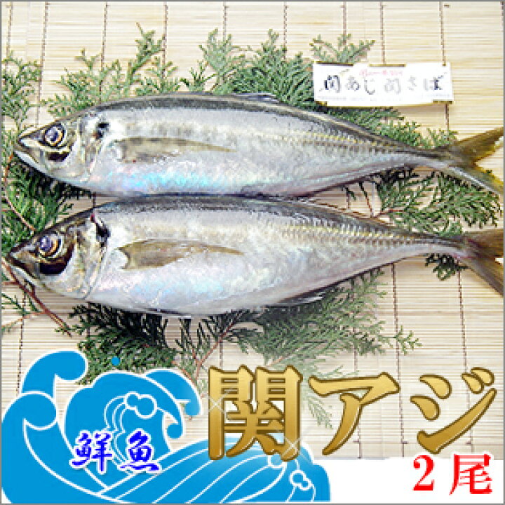 楽天市場 お歳暮 鮮魚 一本釣り 活け締め 大分 関アジ 400g 2尾 佐賀関 漁協 産直 お取り寄せ アジ あじ 鰺 活け〆 活〆 刺身姿造り 魚介 魚 料理 大分県産 海産物 つまみ 関 豊後水道 高級 ブランド魚 送料無料 大分県の特産品専門店ふるさと