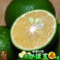 おおいた カボス かぼす 4kg 大小混 25～50玉 大分県産 露地栽培 送料無料 産直 お取り寄せ 果汁 たっぷ…