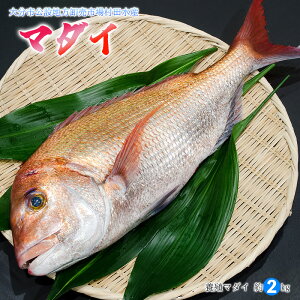 N }_C {  2kg (  / 3낵 ) 啪Y {B ^ Y 啪sݒns  hg C̍K j H