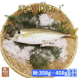 鮮魚 一本釣り 活け締め 大分 関アジ 約400g 村田水産 大分市公設地方卸売市場 産直 お取り寄せ アジ あじ 鰺 活け〆 活〆 刺身姿造り 魚介 魚 料理 大分県産 海産物 つまみ 関 豊後水道 高級 ブランド魚 送料無料 海の幸