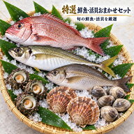 旬の魚介 鮮魚 貝 おまかせセット A 大分市公設地方卸売市場から直送！ 送料無料 国産 大分県産 魚介 海…