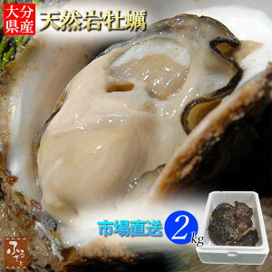 y5%OFFN[|z y kt 啪Y VR  ≲y 5`10 2kg Mp  ① 6`9{ L a JL kt  o[xL[ CY CN N  C̍K