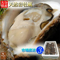 牡蠣 殻付き 大分県産 天然 活き 岩牡蠣 7～13個 約3kg 加熱用 送料無料 冷蔵 貝 牡蛎 カキ 牡蠣 殻付 魚…