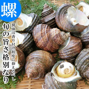 yN[|Ώۏiz VR  TUG 2kg 12`20 啪 L 弗  h kt  ڏĂ hg CNBBQ CNo[xL[Zbg bbq N Mtg 蕨  ① CN