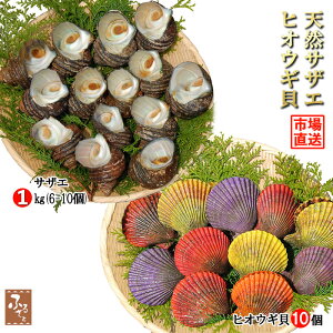 yN[|Ώۏiz VR  TUG  qIEML Zbg 啪Y L  1kg ЂL 10 弗 h L BBQ o[xL[ N  C̍K