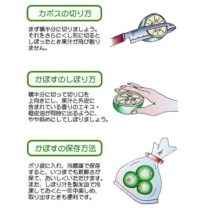 楽天市場】\ポイント5倍/ カボス かぼす 大分 露地 栽培 4kg 大小混 30~60玉 (10月中旬頃~黄カボス 完熟 になります) 送料無料 大分県産 産直 お取り寄せ 果汁 たっぷり : 大分県の特産品専門店ふるさと 楽天市場】\ポイント5倍/ カボス かぼす 大分 露地 栽培 4kg 大小混 30~60玉 (10月中旬頃~黄カボス 完熟 になります) 送料無料 大分県産 産直 お取り寄せ 果汁 たっぷり : 大分県の特産品専門店ふるさと