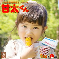 【予約 12月下旬頃】 秀品 高糖度 さつまいも 甘太くん 5kg M-L x1箱 大分県産 さつま芋 紅はるか べには…
