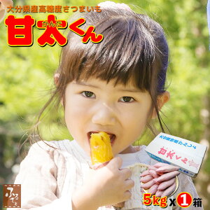 y\ 12{z Gi x ܂ Ñ 5kg x1 啪Y ܈ g͂邩 ׂɂ͂邩 Tc}C Y BY 啪  uh Ï 