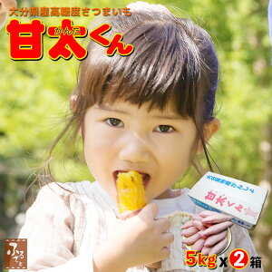 y\ 12{z Gi x ܂ Ñ 5kg x2 啪Y ܈ g͂邩 ׂɂ͂邩 Tc}C Y BY  uh Ï 