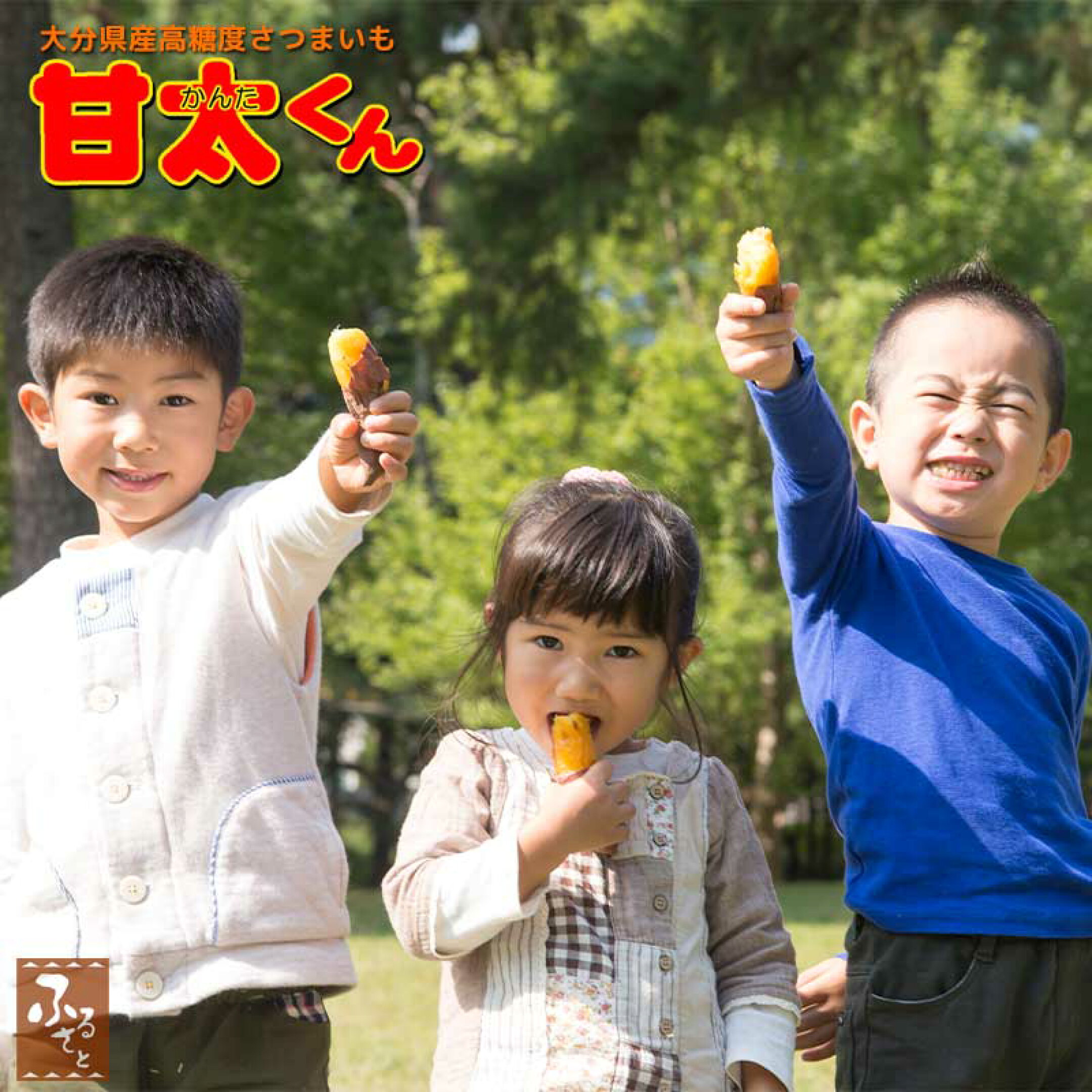 甘太くん　さつまいも