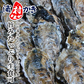 牡蠣 殻付き 生食用 【浦村牡蠣】4〜4.5kg 40〜50個入 三重県 モトかき養殖場 貝 殻付き生カキ カキフライ かき カキ 牡蛎 鮮魚 取り寄せ（販売期間：10月中旬～4月下旬）