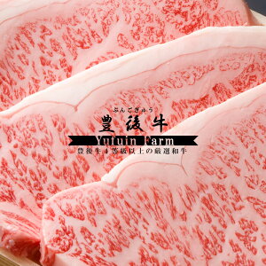 啪 L㋍ T[CXe[L 180gx3 ӂq Y  јa  O nO Mtg  ϔ a  蕨 v[g MSS-90 ①  NX}X