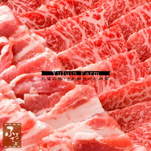 L㋍  400g Y n[u o 300g Hה ӂq Y 啪  јa  O nO Mtg  ϔ a  蕨 v[g MMYHY-58 ①  N