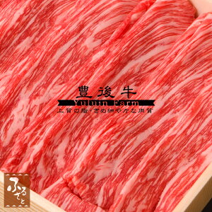 L㋍  Ԃ 500g ӂq 啪Y јa Y   O nO Mtg  ϔ a  蕨 v[g MMSS-50 ① Ε  NX}X