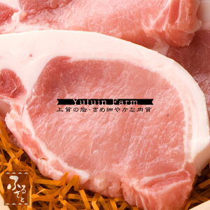 yN[|Ώۏiz 啪 n[u [X Ƃ񂩂 geL p 120g×5 ӂq Y  ؓ O nO Mtg  ϔ  蕨 v[g MHRT-30 ① 