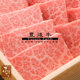 豊後牛 三角バラ 焼肉 600g ゆふいん牧場 国産 大分 生肉 黒毛和牛 牛肉 グルメ ご当地グルメ 肉ギフト お肉 化粧箱入 和牛 贈答 贈り物 プレゼント MSB-100 冷蔵 精肉