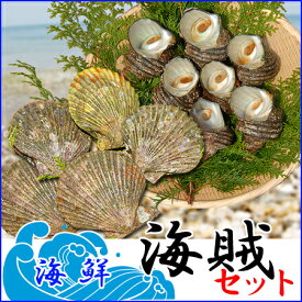 楽天市場 緋扇貝の通販