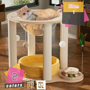 �L �������� �L���b�g�^���[ �Ⴂ �I�V���� �܂Ƃ� �����u�� �����{�E�� �F���D �X���� �l�R ��^�L ���^ �q�L �L�^���[ �˂��n�E�X ���� ���R �܂Ƃ��|�[�� �V�j�A �ȃX�y�[�X mdnat�L���b�g