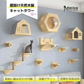 キャットウォーク 壁掛け 猫用 木製 キャットステップ ハンモック クリアステップ 無垢材 棚セット