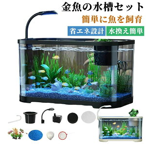 室内 水槽セット cm以上水槽セット 熱帯魚・水槽・飼育セットの通販なら